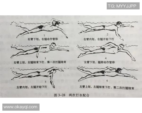 提升游泳技术的关键技巧与训练方法探索